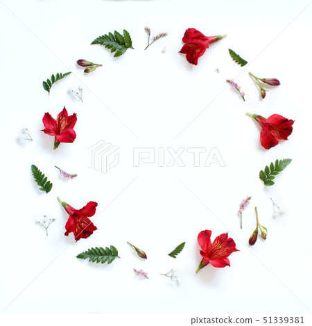 Flowers on a white background 51339381