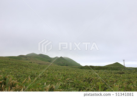Landscape of the northwestern part of Rebun Island, Hokkaido 51341081