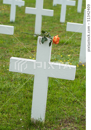 orange rose on tomb at military cemetery orange rose on tomb at military cemetery 51342409