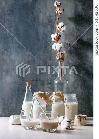 Variety of non-dairy milk 51342636
