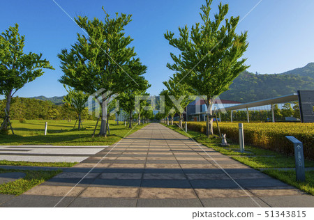 Shimane Prefectural Ancient Izumo History Museum 51343815