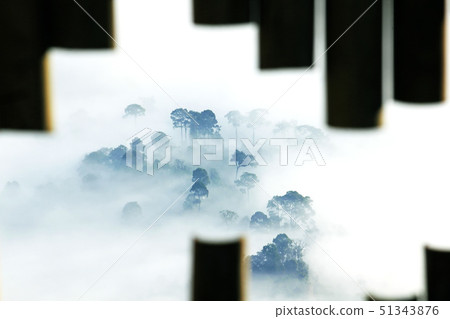Morning Mist with Mountain View 51343876