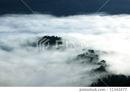 Morning Mist with Mountain View 51343877