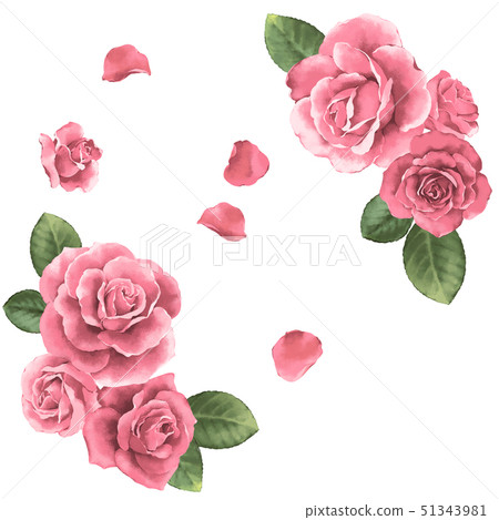 Rose of pink 51343981