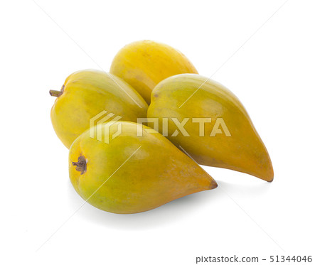 Egg fruit, Canistel, Yellow Sapote (Pouteria Egg fruit, Canistel, Yellow Sapote (Pouteria 51344046
