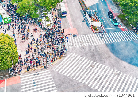 [Tokyo] scramble intersection 51344961