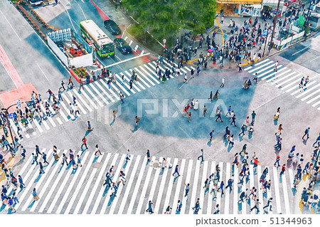 [Tokyo] scramble intersection 51344963