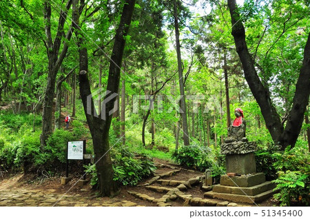 Kanagawa Prefectural Nanasawa Forest Park Toge no Hiroba Kanagawa Prefectural Nanasawa Forest Park Toge no Hiroba 51345400