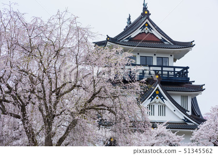 橫手城櫻花節 51345562