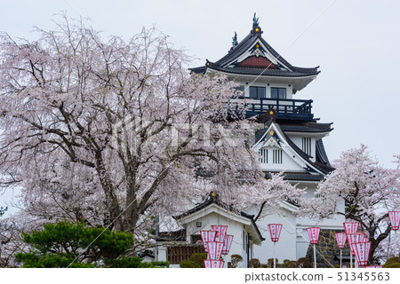 橫手城櫻花節 51345563