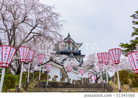 Yokote Castle Cherry Blossom Festival Yokote Castle Cherry Blossom Festival 51345568