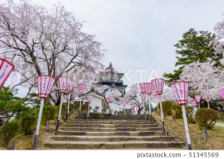 Yokote Castle Cherry Blossom Festival Yokote Castle Cherry Blossom Festival 51345569