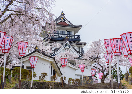 Yokote Castle Cherry Blossom Festival Yokote Castle Cherry Blossom Festival 51345570