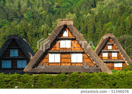 “岐阜縣”白川鄉去初夏 51346076