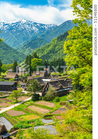 “富山縣”Ainokura合掌村，清新的綠色季節 51346800