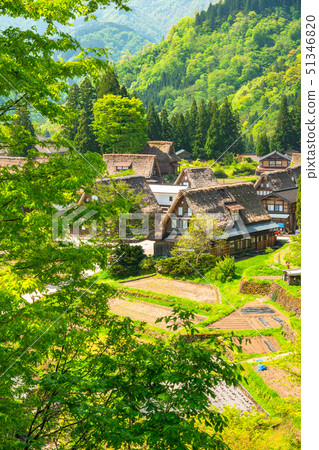 "Toyama Prefecture" Ainokura Gassho village, fresh green season 51346820