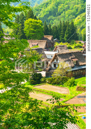 "Toyama Prefecture" Ainokura Gassho village, fresh green season 51346821