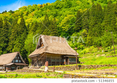 "Toyama Prefecture" Ainokura Gassho village, fresh green season "Toyama Prefecture" Ainokura Gassho village, fresh green season 51346855