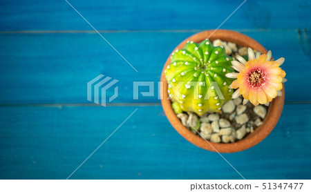 top view of Yellow, orange and red color of 51347477