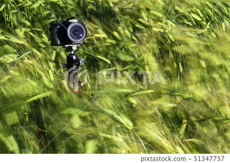 大麥場和相機 大麥場和相機 51347737