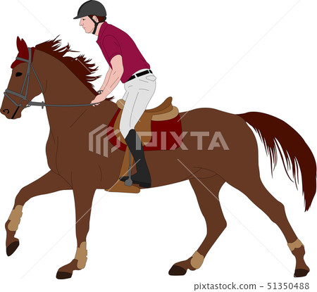 young horseman riding elegant horse color 51350488