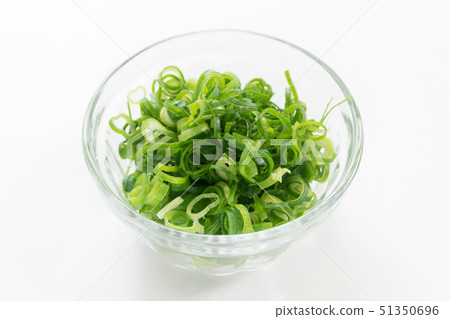 Katonegi Katonegi 51350696