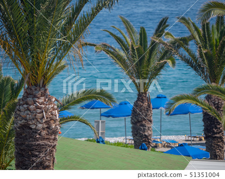 Beautiful tropical coastline with palm trees and clear blue water 51351004