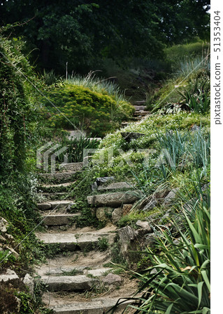 A mystery half-ruined stone steps in forest A mystery half-ruined stone steps in forest 51353404