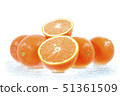 Oranges 51361509