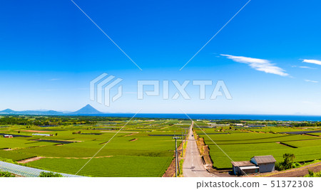 Fresh green tea plantations and Kaimondake _ Nakahara Park A spectacular spot in Minamisatsuma A road that stretches straight into a vast tea plantation Kaimondake Fresh green tea plantations and Kaimondake _ Nakahara Park A spectacular spot in Minamisatsuma A road that stretches straight into a vast tea plantation Kaimondake 51372308
