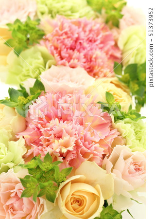 插花 插花 51373952