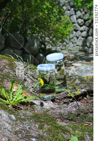 Spring cup of sake 51392774