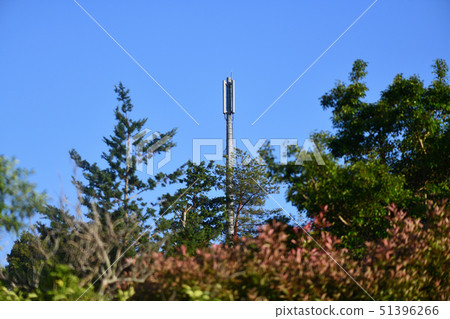 Mobile phone base station in the tree 51396266