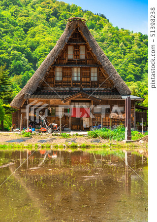 《Toyama Prefecture》Suganuma Gassho-zukuri Village/Fresh green season 51398238