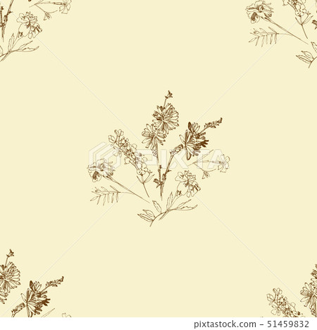 Seamless pattern with Wild Flowers with Summer Botanical Sketches Seamless pattern with Wild Flowers with Summer Botanical Sketches 51459832