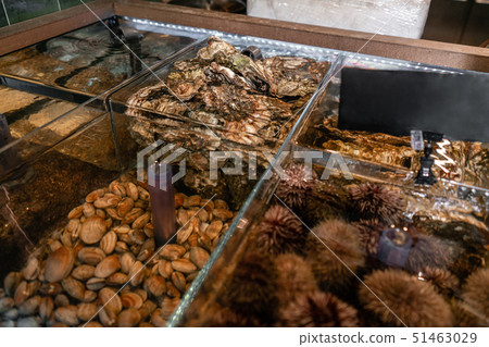 Oysters, sea urchin and mussels for sale in a water aquariums at the street market in France Oysters, sea urchin and mussels for sale in a water aquariums at the street market in France 51463029