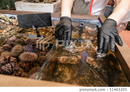 The dealer pulls the oysters out of water. Oysters, sea urchin and mussels for sale in a water The dealer pulls the oysters out of water. Oysters, sea urchin and mussels for sale in a water 51463205