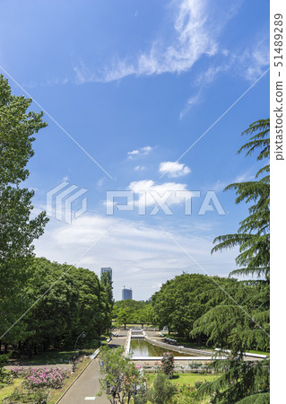 綠草在初夏公園 51489289