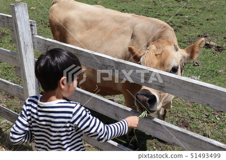 Child giving food 51493499