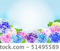 Hydrangea and light blue background 51495589