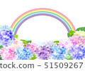Hydrangea flower and rainbow illustration 51509267