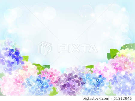 繡球 51512946