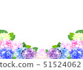 Hydrangea full bloom illustration 51524062