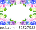 Hydrangea up and down frame 51527582