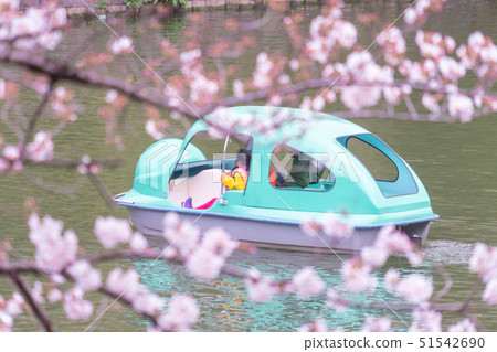 Family is riding on paddle boat in Tokyo Family is riding on paddle boat in Tokyo 51542690