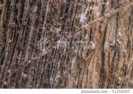 Orange Red Rock layer surface for texture 51550207