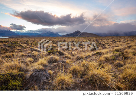 Perito Moreno Park 51569959