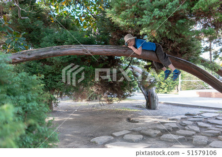 The boy lies on a thick branch of larch like a cat 51579106
