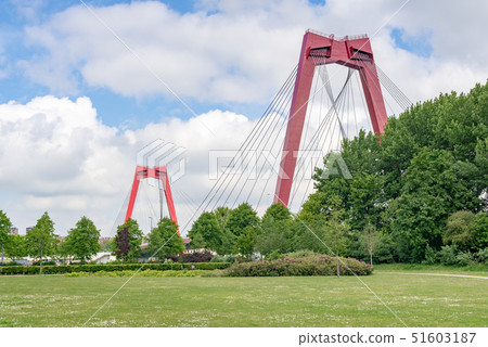 Red cable bridge against blue sky from a park Red cable bridge against blue sky from a park 51603187