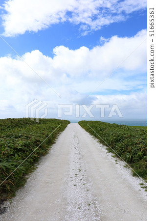 北海道稚內大山白路 北海道稚內大山白路 51665361